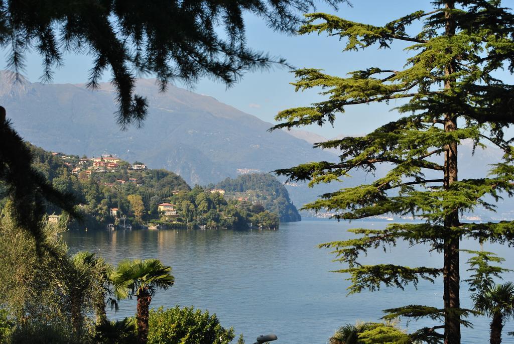 Villa Ortensia Oliveto Lario Pokój zdjęcie